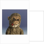 Aaron Monkey, 2016 by Peter Jones