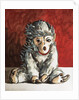 White Monkey on Red, 2006 by Peter Jones
