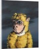 Gold Monkey, 2008 by Peter Jones