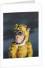 Gold Monkey, 2008 by Peter Jones