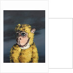 Gold Monkey, 2008 by Peter Jones