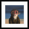 Fergus Monkey, 2017 by Peter Jones