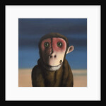 Fergus Monkey, 2017 by Peter Jones