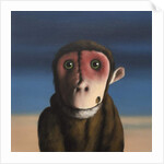 Fergus Monkey, 2017 by Peter Jones
