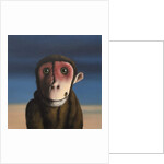 Fergus Monkey, 2017 by Peter Jones