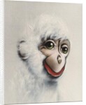 Monkey in White, 2005 by Peter Jones