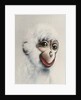 Monkey in White, 2005 by Peter Jones