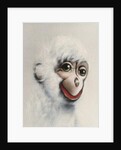 Monkey in White, 2005 by Peter Jones