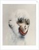 Monkey in White, 2005 by Peter Jones