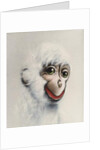 Monkey in White, 2005 by Peter Jones