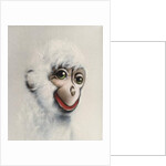 Monkey in White, 2005 by Peter Jones