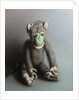 Green Face Monkey, 2006 by Peter Jones