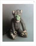 Green Face Monkey, 2006 by Peter Jones