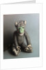 Green Face Monkey, 2006 by Peter Jones