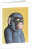 Mauve Monkey on Yellow, 2006 by Peter Jones