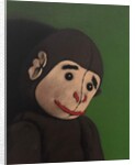 Monkey Portrait on Green, 2005 by Peter Jones