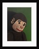 Monkey Portrait on Green, 2005 by Peter Jones