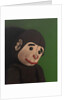 Monkey Portrait on Green, 2005 by Peter Jones