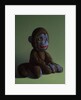 Brown Monkey on Green, 2016 by Peter Jones