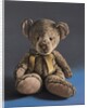 Pinki the Bear, 2017 by Peter Jones