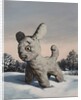 Snowy, 2010 by Peter Jones