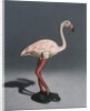 Pink Flamingo, 2014 by Peter Jones