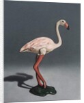 Pink Flamingo, 2014 by Peter Jones