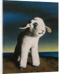 Lamb, 2009 by Peter Jones