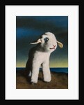 Lamb, 2009 by Peter Jones