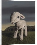 Lamb, 2009 by Peter Jones