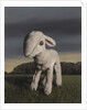 Lamb, 2009 by Peter Jones