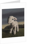 Lamb, 2009 by Peter Jones