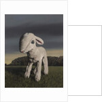 Lamb, 2009 by Peter Jones