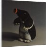 Mole, 2017 by Peter Jones