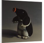Mole, 2017 by Peter Jones
