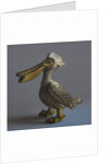 The Pelican, 2017 by Peter Jones