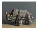 Rhino, 2015 by Peter Jones