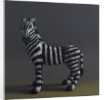 Zebra - After Stubbs, 2018 by Peter Jones