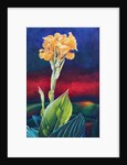 Yellow Canna Lily, 1991 by Frances Ferdinands