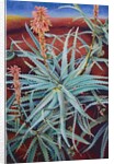 Aloe, 1991 by Frances Ferdinands