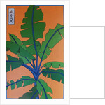 Banana plant number 5, 2014 by Timothy Nathan Joel