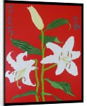White lily on a red background no.2, 2008 by Timothy Nathan Joel