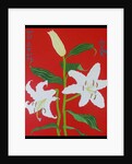 White lily on a red background no.2, 2008 by Timothy Nathan Joel