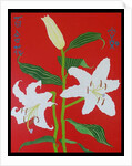White lily on a red background no.2, 2008 by Timothy Nathan Joel
