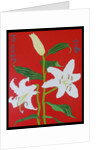 White lily on a red background no.2, 2008 by Timothy Nathan Joel
