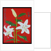 White lily on a red background no.2, 2008 by Timothy Nathan Joel