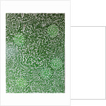 Spirit of nature, 2012 by Timothy Nathan Joel