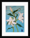 White lily on a blue background, 2010 by Timothy Nathan Joel