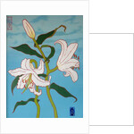 White lily on a blue background, 2010 by Timothy Nathan Joel