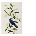 Boorah Farleeh by School Chinese